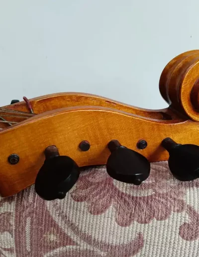 Volute violone en sol