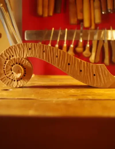 volute de Florent Petit